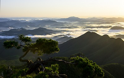 대둔산