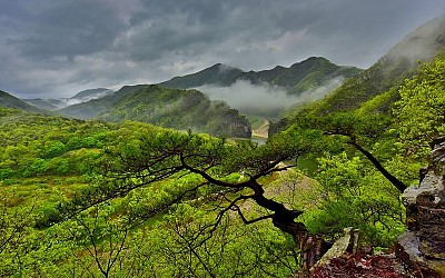 대덕산