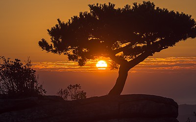 대둔산일출