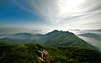 대둔산의 봄