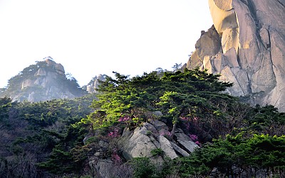 산정의 오후