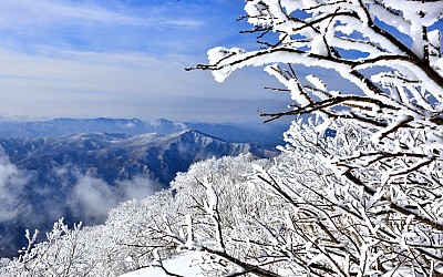 설 화