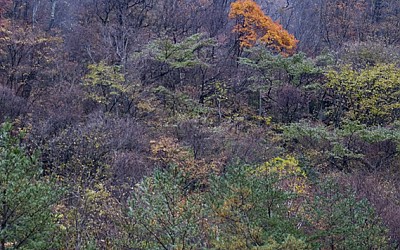 설악산자락