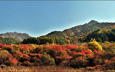 응봉산의추색