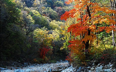설악산