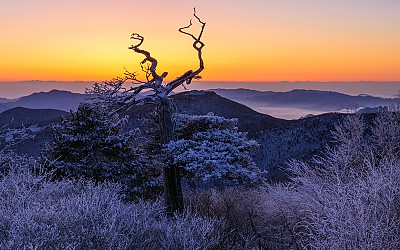 태백산