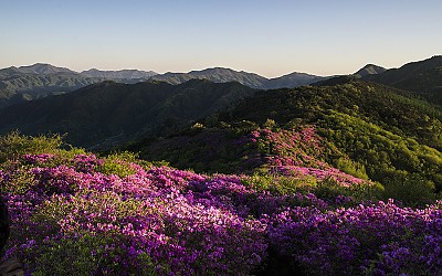 처음 가본 봉화산 !