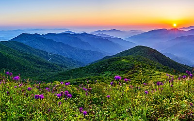 산비장이와 일출