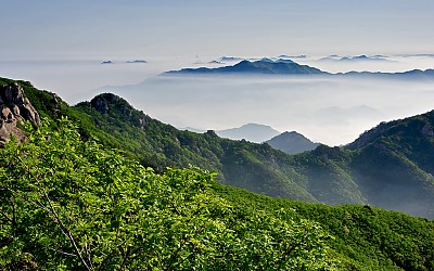 속리산 신록(2)