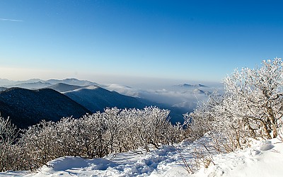태백산 설경!