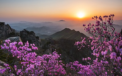 오늘도 대둔산