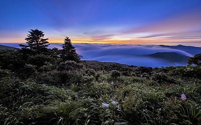덕유산의 여름