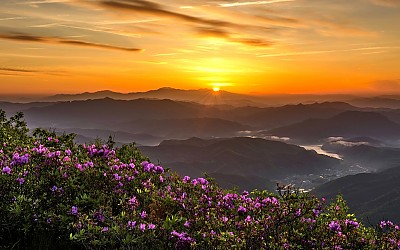 안양산