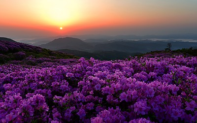 황매산