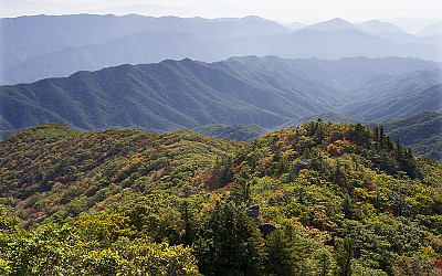 세레봉