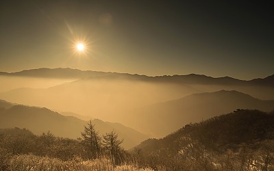 바래봉
