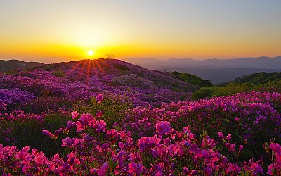 황매산 일출