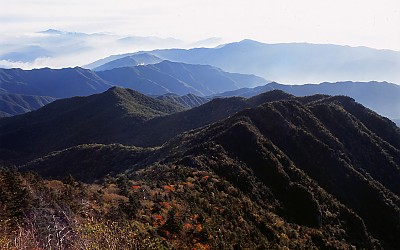                               바람 불던…