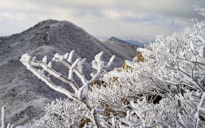 팔공산의 첫눈