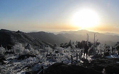제석의 미