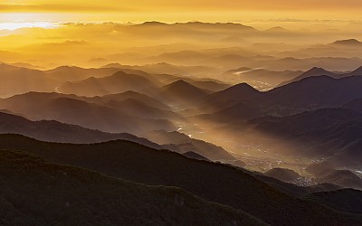오도산