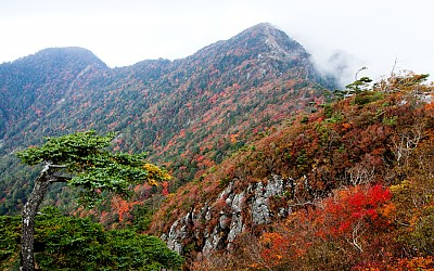 지리산