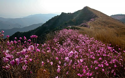 화완산