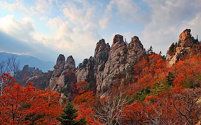 용아장성추색.