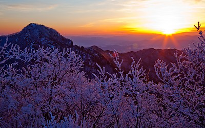 팔공산의 겨울