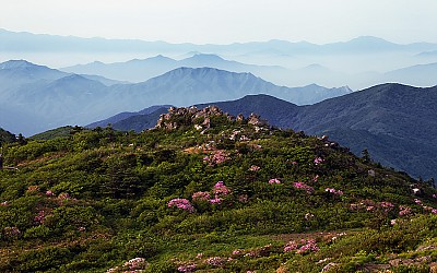 상선대