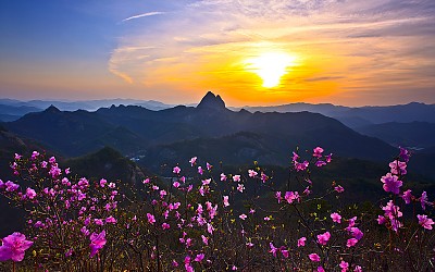 마이산의 봄