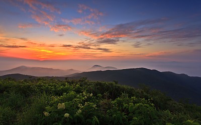여명