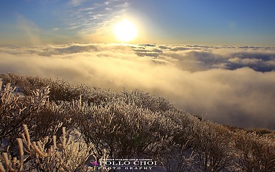 태백산의 겨울