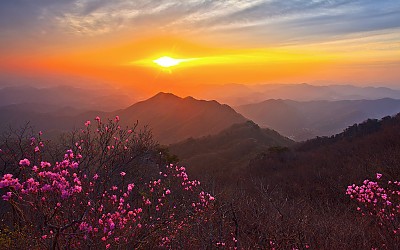  대둔산 소식