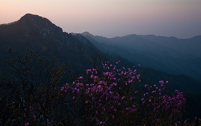 팔공산아침