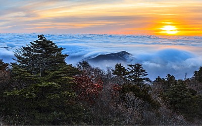 운해바다