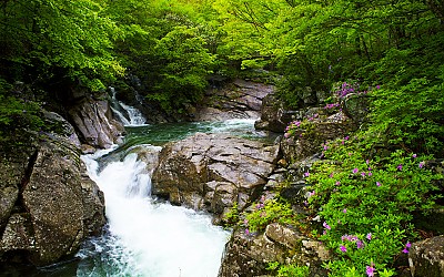 지리산 계류
