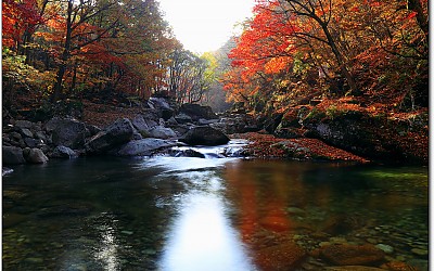 화려한 가을