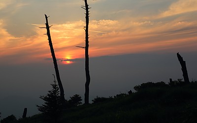 입회신고