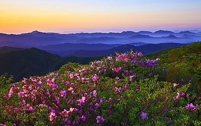 덕유산 소식