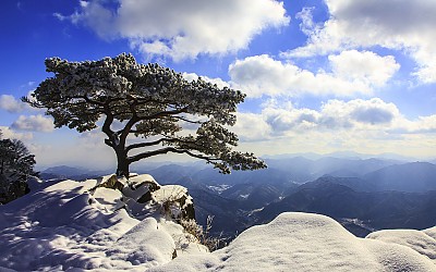 대둔산 설송