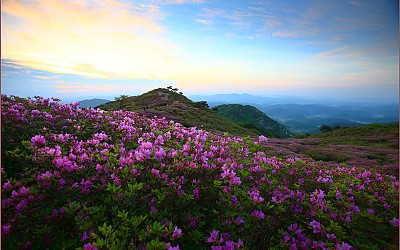 황매산