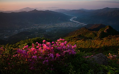 형제봉