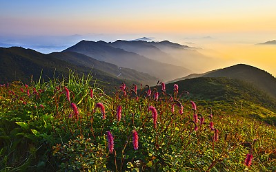 지리산