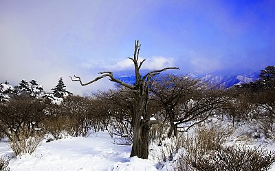 덕유산