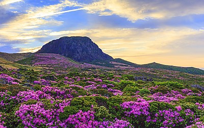 한라산 파노라마
