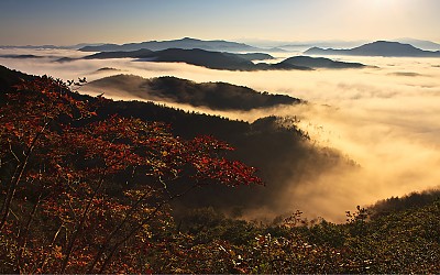 이른아침