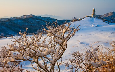 대구도 눈이 왔는데...
