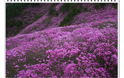 경남 창원 천주산