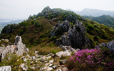 주작산 5월 7일 상황